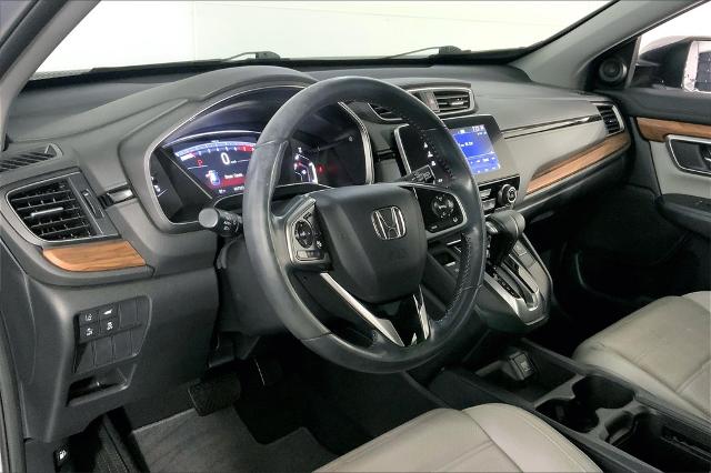 2019 Honda CR-V Vehicle Photo in Lees Summit, MO 64086