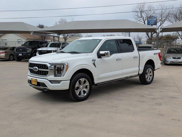 2022 Ford F-150 Vehicle Photo in SELMA, TX 78154-1459