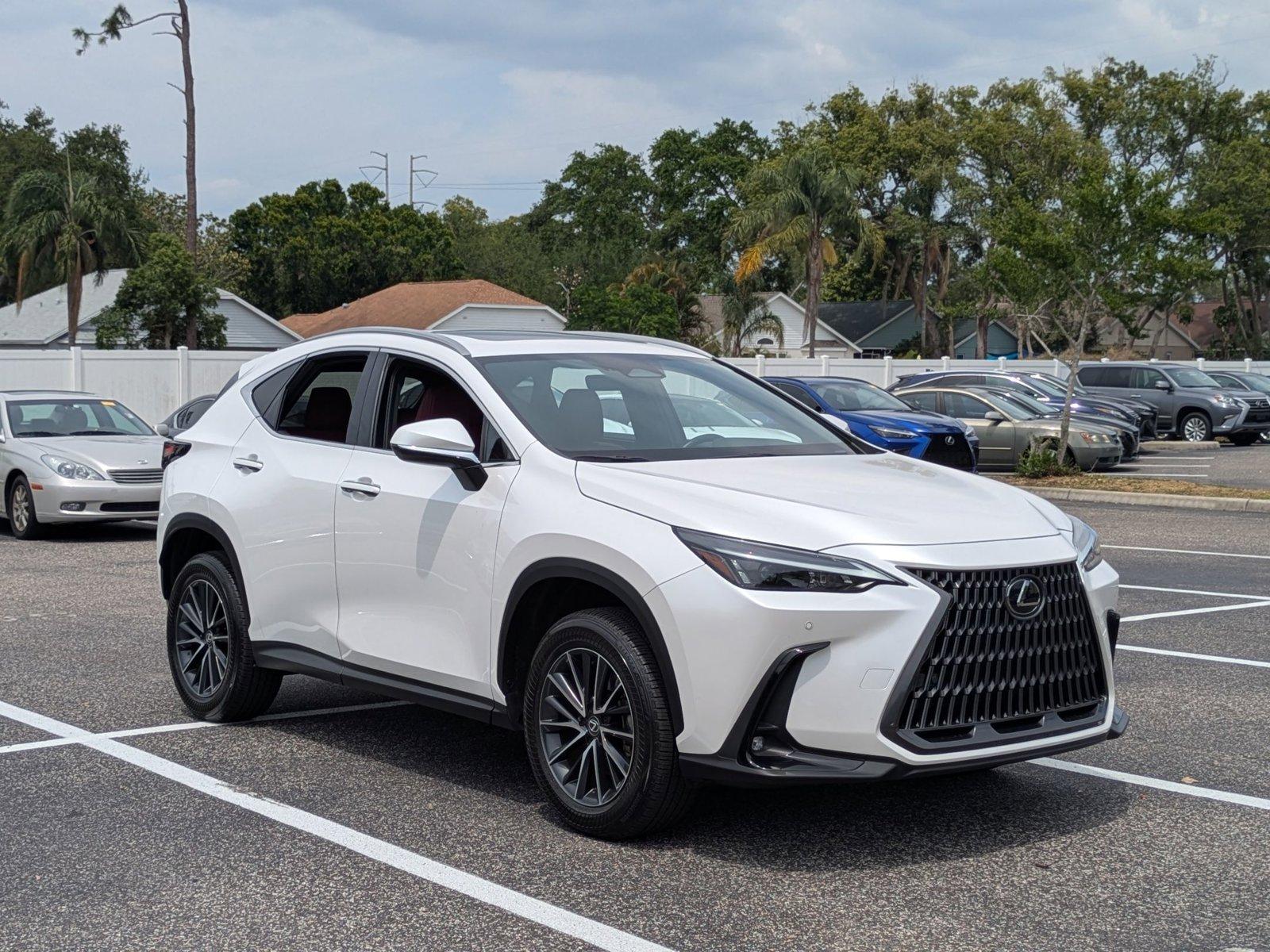 2024 Lexus NX 250 Vehicle Photo in Clearwater, FL 33761