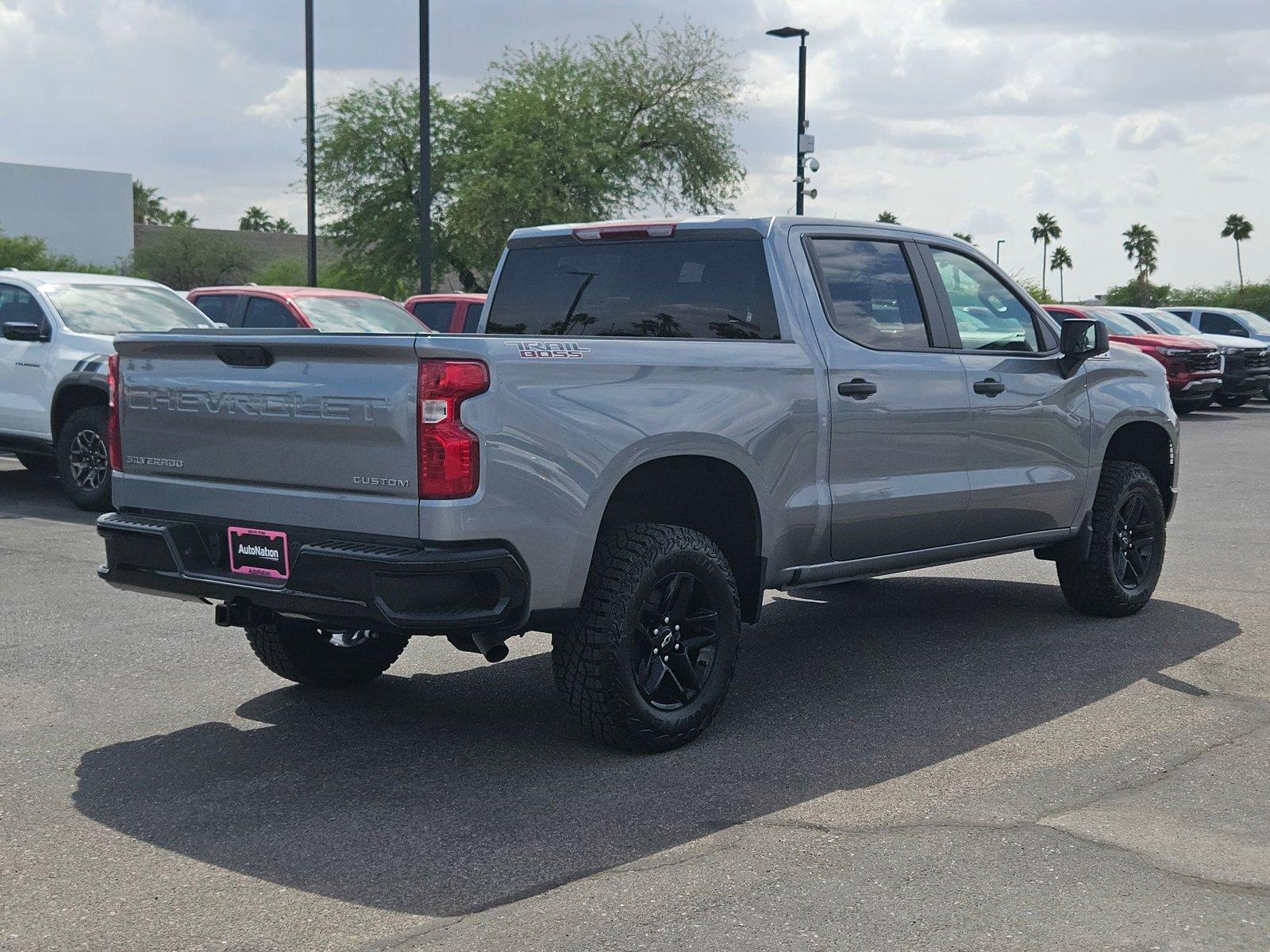 2025 Chevrolet Silverado 1500 Vehicle Photo in MESA, AZ 85206-4395