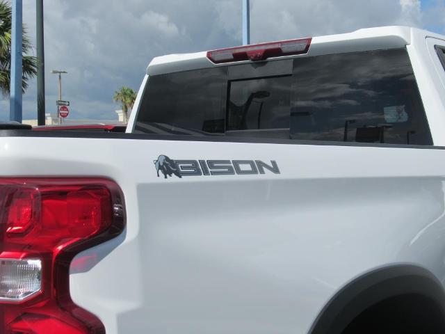 2024 Chevrolet Silverado 1500 Vehicle Photo in LEESBURG, FL 34788-4022
