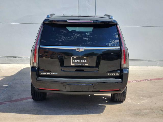 2019 Cadillac Escalade Vehicle Photo in Grapevine, TX 76051