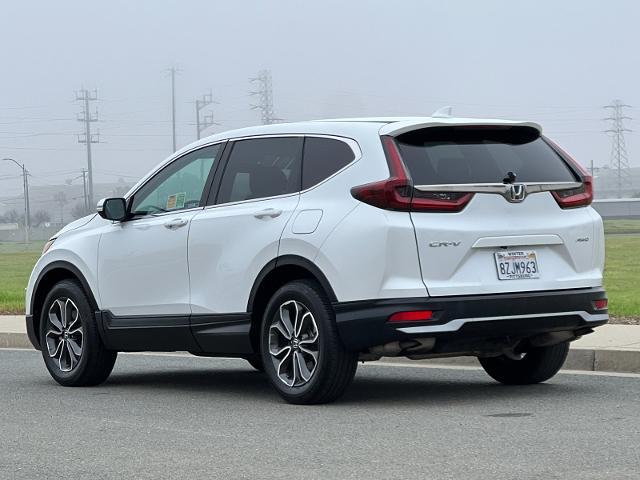 2022 Honda CR-V Vehicle Photo in PITTSBURG, CA 94565-7121