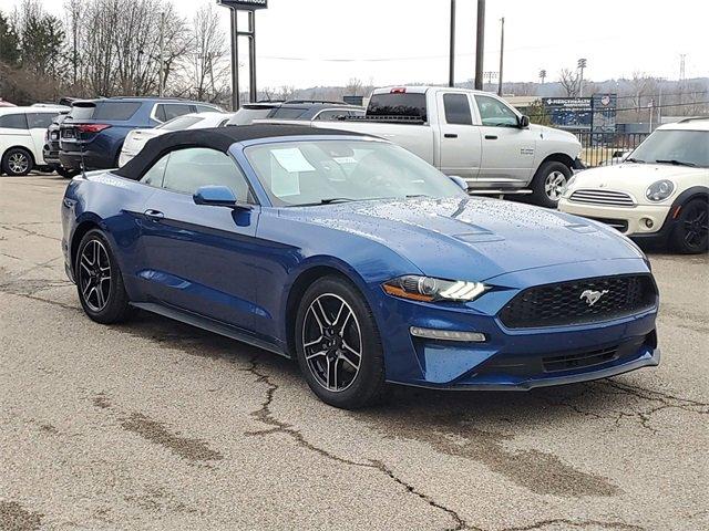 2022 Ford Mustang Vehicle Photo in MILFORD, OH 45150-1684