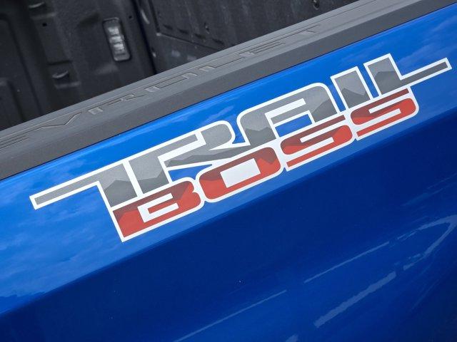 2024 Chevrolet Silverado 1500 Vehicle Photo in Decatur, TX 76234