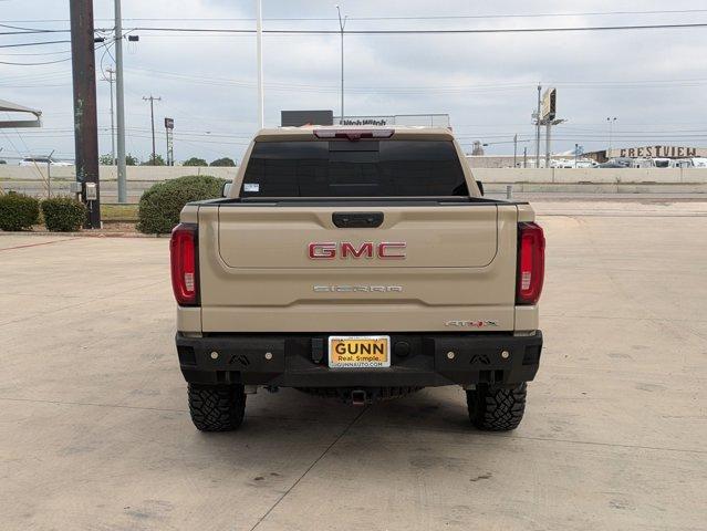 2023 GMC Sierra 1500 Vehicle Photo in SELMA, TX 78154-1459