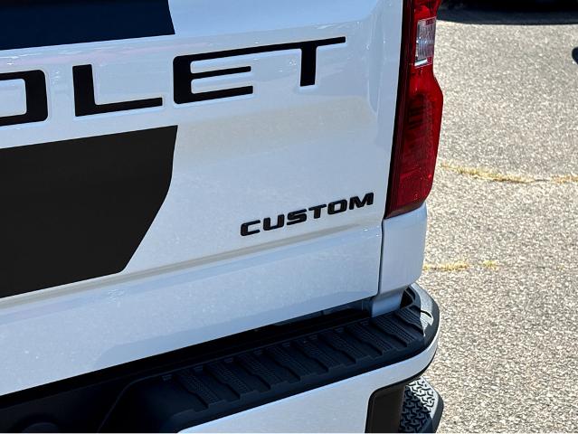 2025 Chevrolet Silverado 1500 Vehicle Photo in BEAUFORT, SC 29906-4218