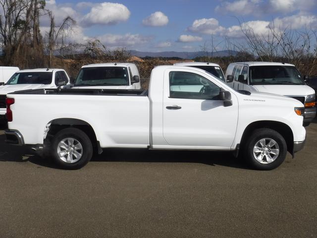 2023 Chevrolet Silverado 1500 Vehicle Photo in JASPER, GA 30143-8655