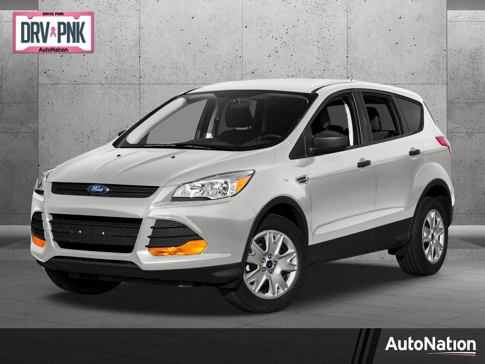 2015 Ford Escape Vehicle Photo in Jacksonville, FL 32244