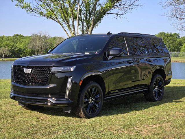 2022 Cadillac Escalade Vehicle Photo in DENTON, TX 76210-9321