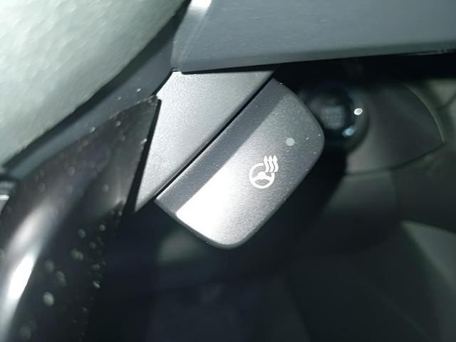2025 Subaru Ascent Vehicle Photo in Green Bay, WI 54304