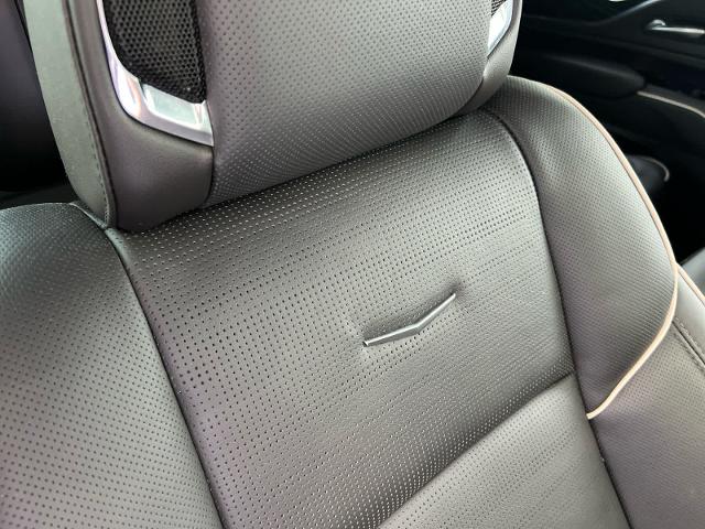 2023 Cadillac Escalade Vehicle Photo in Grapevine, TX 76051