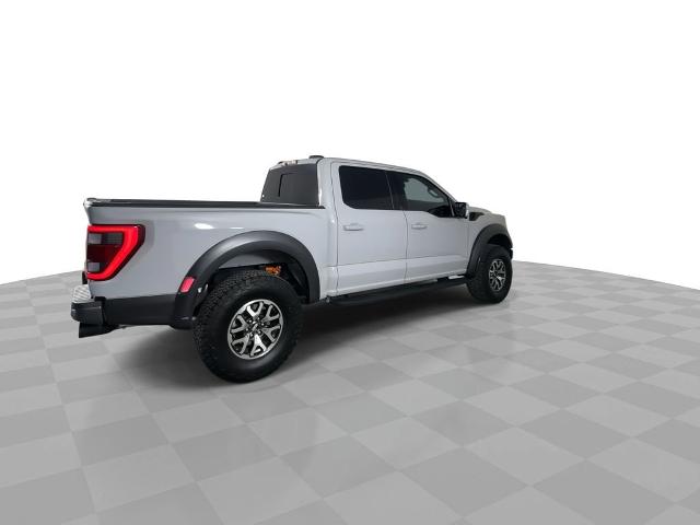 2023 Ford F-150 Vehicle Photo in GILBERT, AZ 85297-0402
