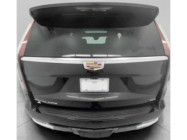 2022 Cadillac Escalade Vehicle Photo in OSHKOSH, WI 54904-7811