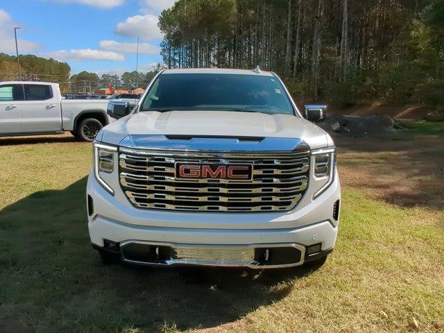 2025 GMC Sierra 1500 Vehicle Photo in ALBERTVILLE, AL 35950-0246