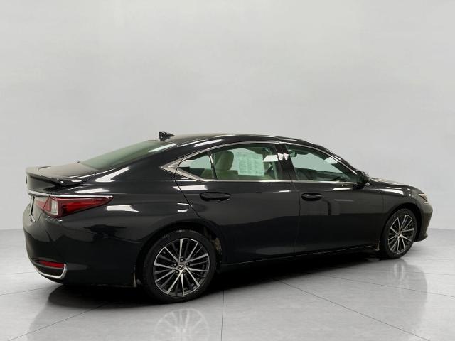 2022 Lexus ES 250 Vehicle Photo in Appleton, WI 54913