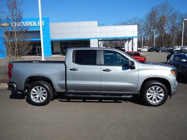 2025 Chevrolet Silverado 1500 Vehicle Photo in JASPER, GA 30143-8655