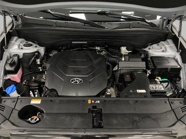 2024 Hyundai PALISADE Vehicle Photo in Appleton, WI 54913