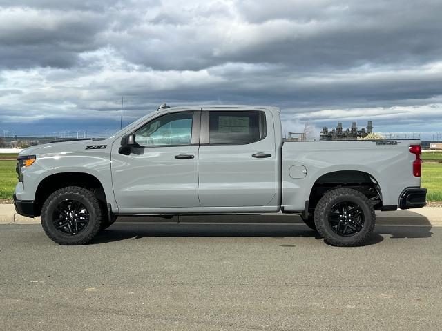 2025 Chevrolet Silverado 1500 Vehicle Photo in PITTSBURG, CA 94565-7121