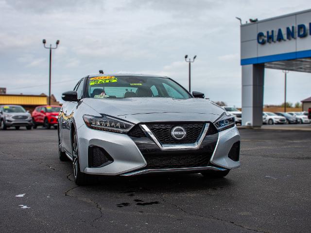 2023 Nissan Maxima Vehicle Photo in MADISON, IN 47250-1611