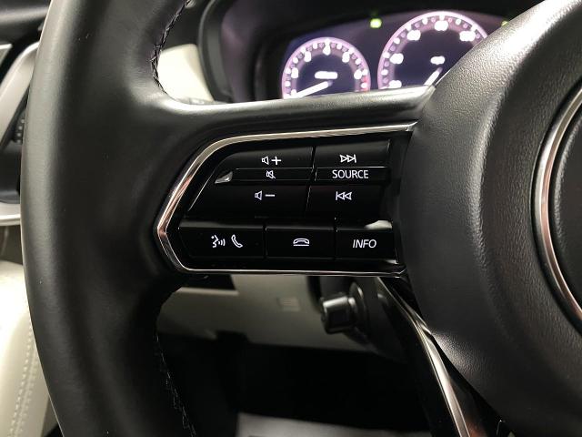 2025 Mazda CX-90 Vehicle Photo in Appleton, WI 54913