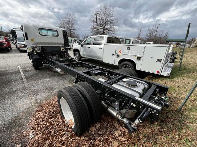 2025 Chevrolet Low Cab Forward 4500 Vehicle Photo in ALCOA, TN 37701-3235