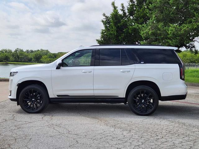 2024 Cadillac Escalade Vehicle Photo in DENTON, TX 76210-9321