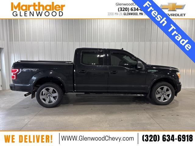 2018 Ford F-150 Vehicle Photo in GLENWOOD, MN 56334-1123