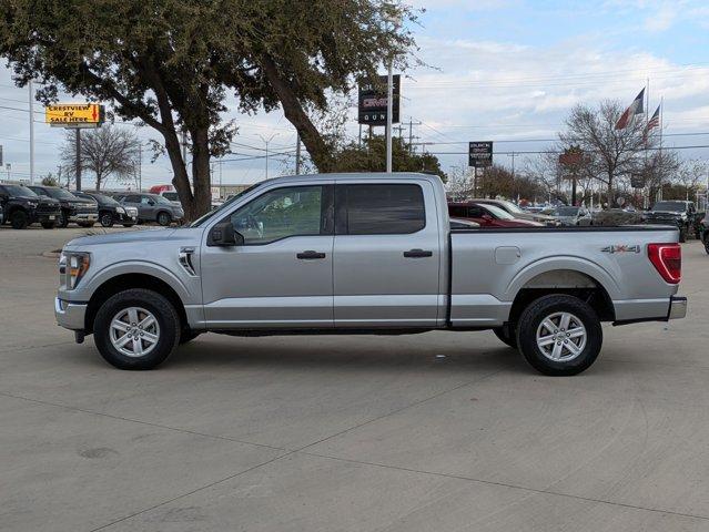 2023 Ford F-150 Vehicle Photo in SELMA, TX 78154-1459