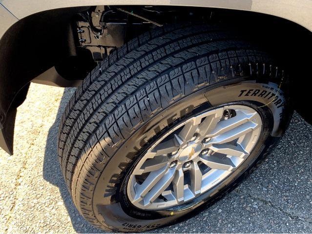 2025 Chevrolet Colorado Vehicle Photo in BEAUFORT, SC 29906-4218
