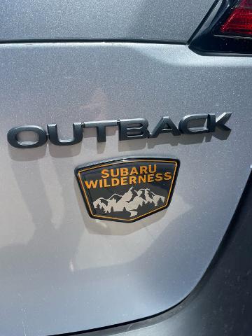 2025 Subaru Outback Vehicle Photo in DALLAS, TX 75209