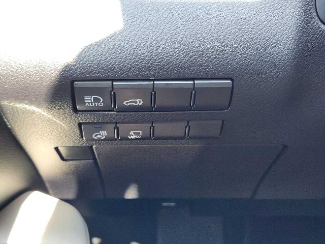 2020 Lexus RX 350 Vehicle Photo in DENTON, TX 76210-9321
