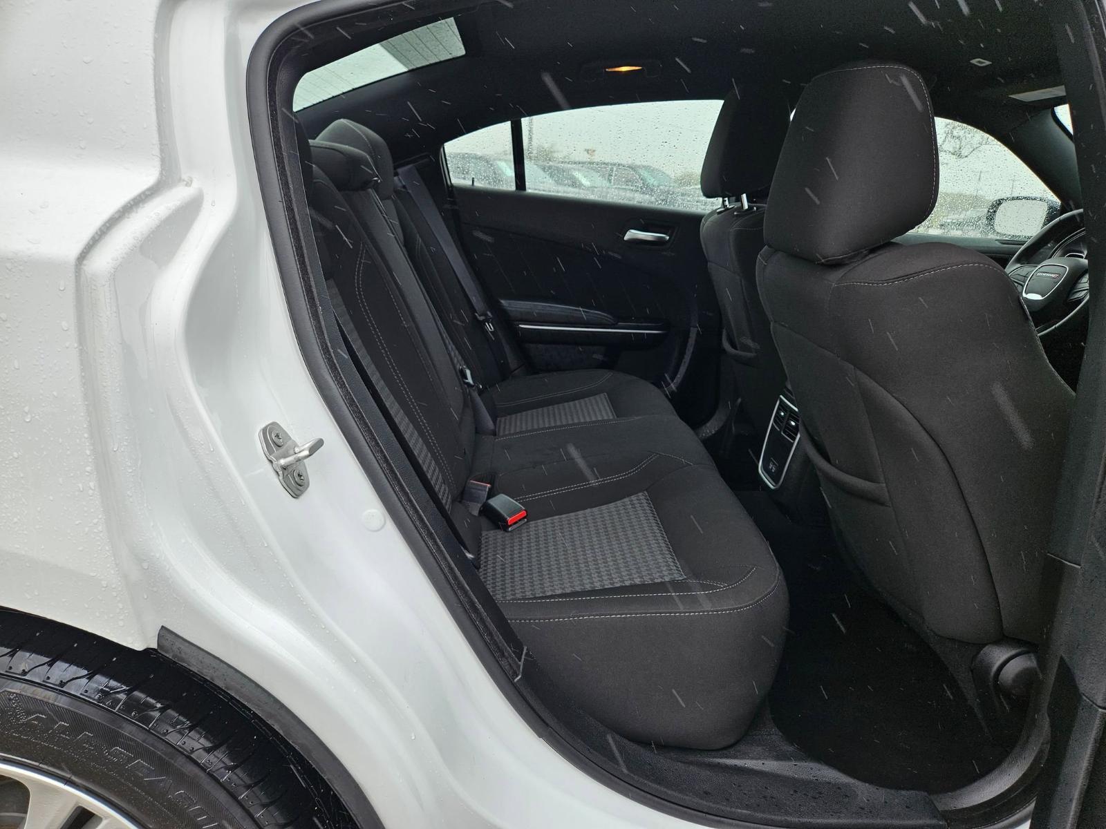 2023 Dodge Charger Vehicle Photo in Seguin, TX 78155
