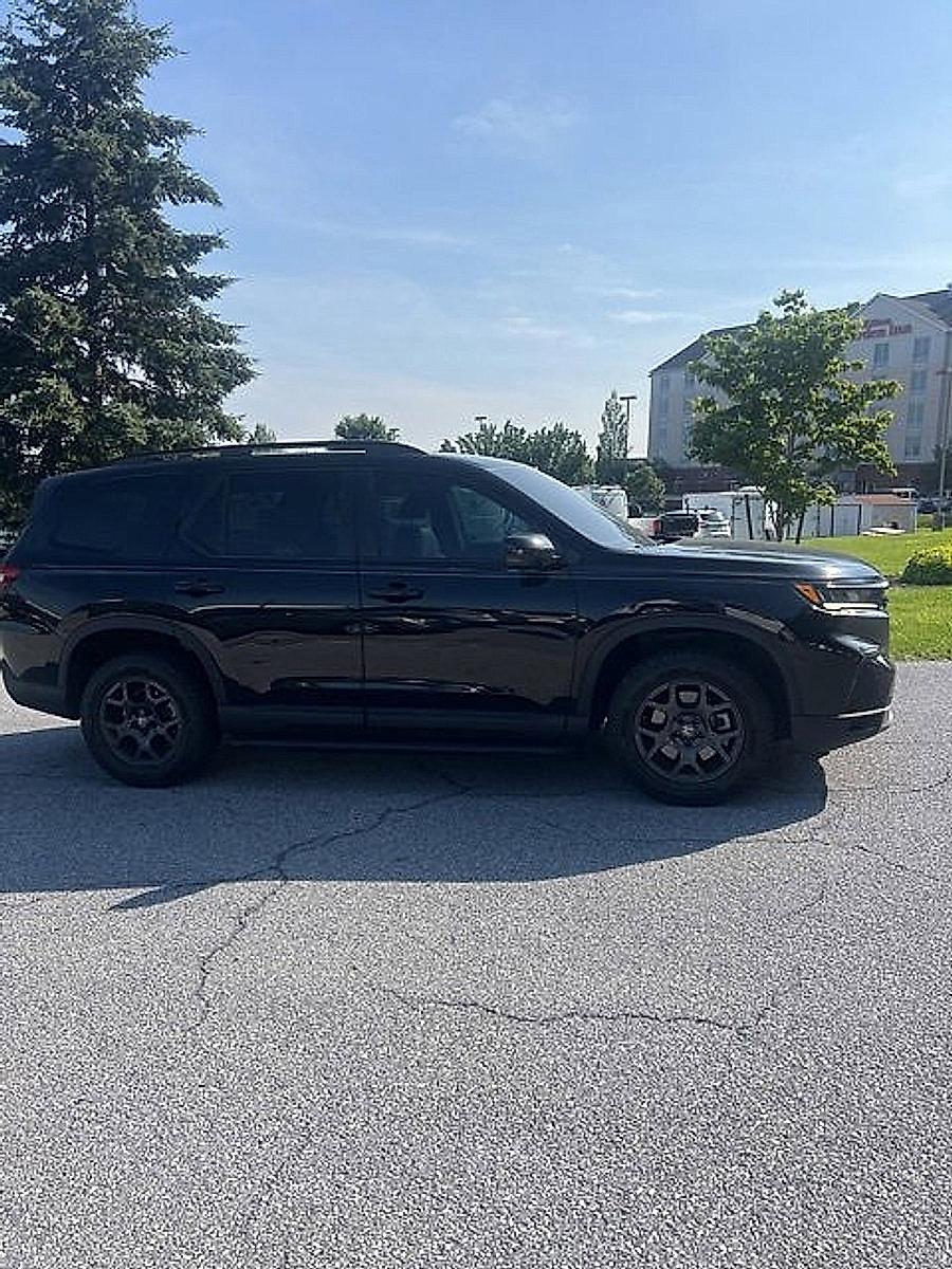 2023 Honda Pilot Vehicle Photo in Harrisburg, PA 17111