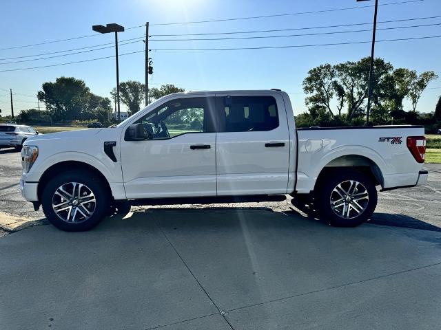 2021 Ford F-150 Vehicle Photo in MANHATTAN, KS 66502-5036