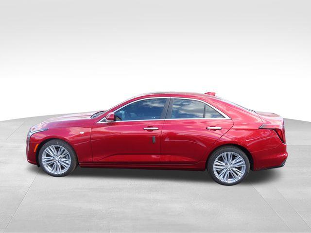 2025 Cadillac CT4 Vehicle Photo in DELRAY BEACH, FL 33483-3294