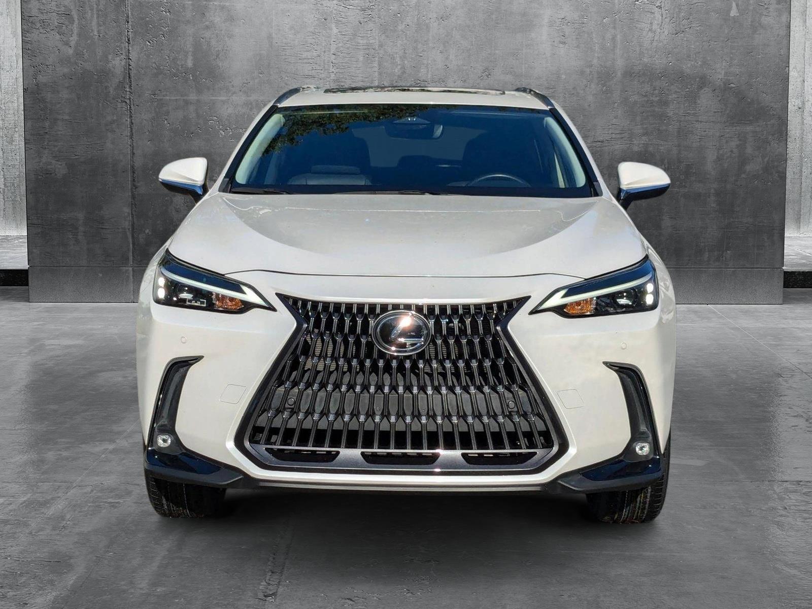 2022 Lexus NX 250 Vehicle Photo in West Palm Beach, FL 33417