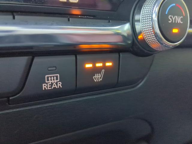 2023 Mazda3 Hatchback Vehicle Photo in Brunswick, GA 31525