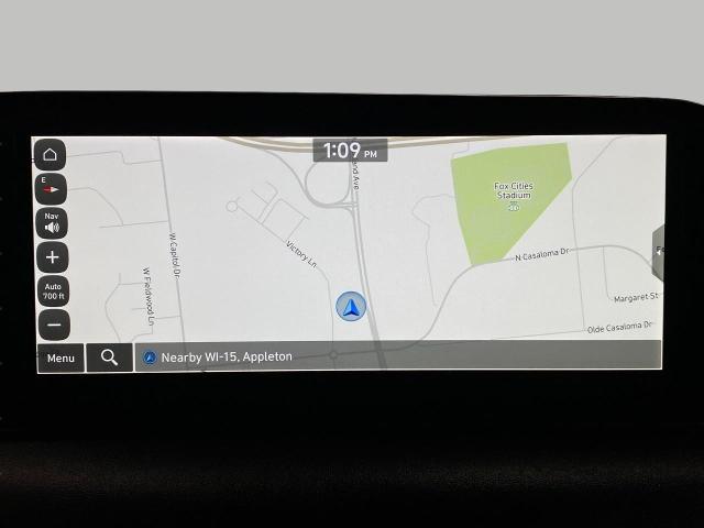 2024 Hyundai PALISADE Vehicle Photo in Appleton, WI 54914