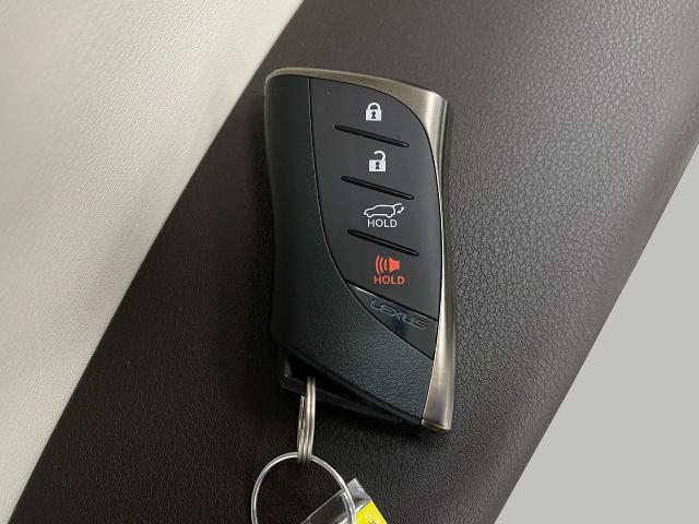 2024 Lexus RX 350 Vehicle Photo in Appleton, WI 54913