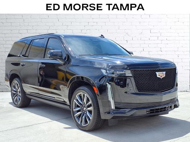 2021 Cadillac Escalade Vehicle Photo in Tampa, FL 33612