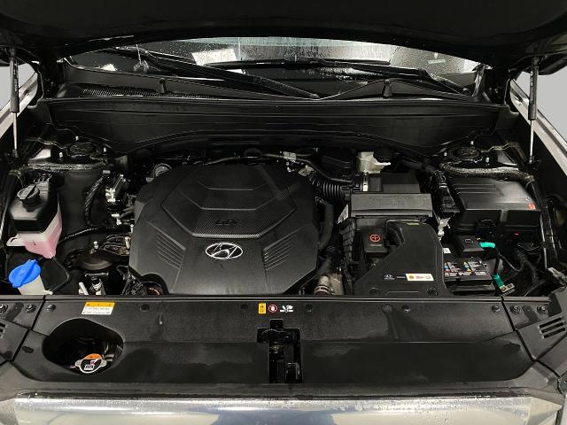 2024 Hyundai PALISADE Vehicle Photo in Appleton, WI 54913