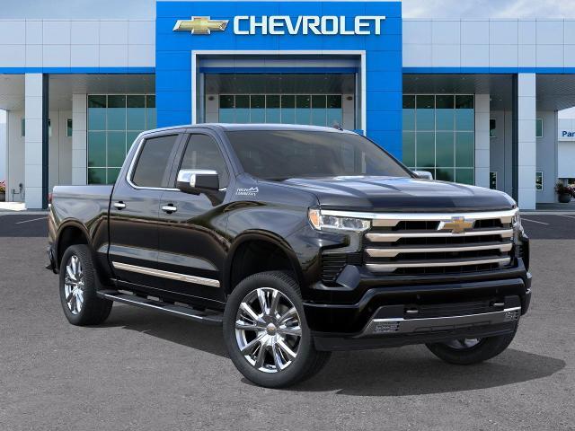 2025 Chevrolet Silverado 1500 Vehicle Photo in SELMA, TX 78154-1460