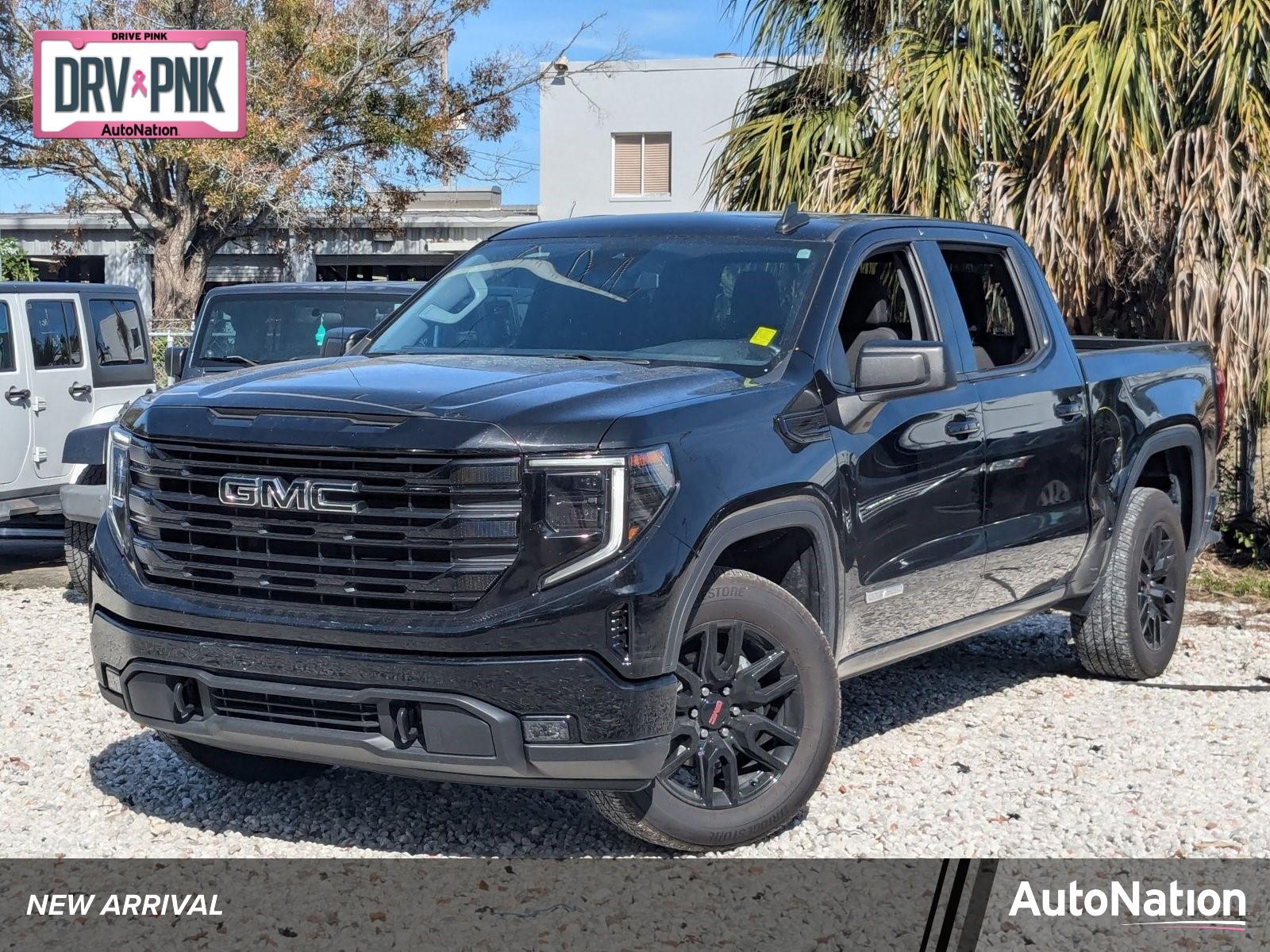 2022 GMC Sierra 1500 Vehicle Photo in Tampa, FL 33614