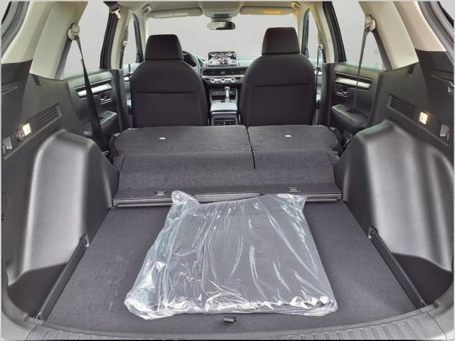 2025 Honda CR-V Vehicle Photo in Oshkosh, WI 54904