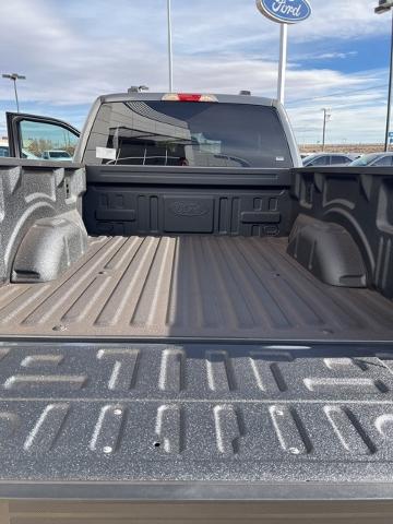 2024 Ford F-150 Vehicle Photo in Winslow, AZ 86047-2439