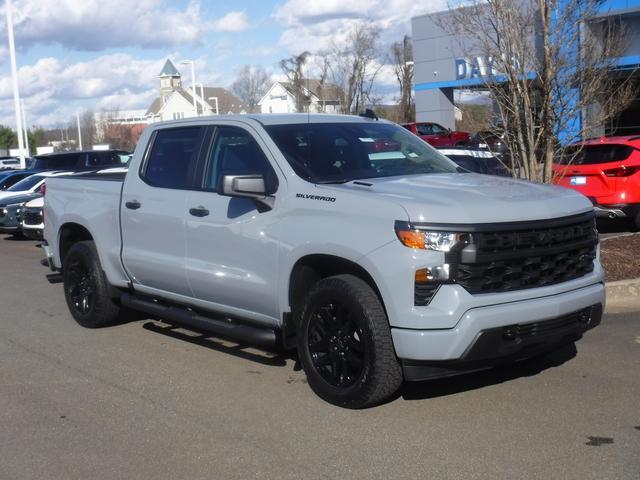 2025 Chevrolet Silverado 1500 Vehicle Photo in JASPER, GA 30143-8655