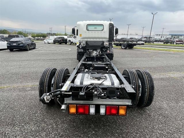 2024 Chevrolet Low Cab Forward 3500 Vehicle Photo in ALCOA, TN 37701-3235