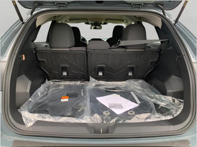 2025 Subaru Crosstrek Vehicle Photo in Oshkosh, WI 54904