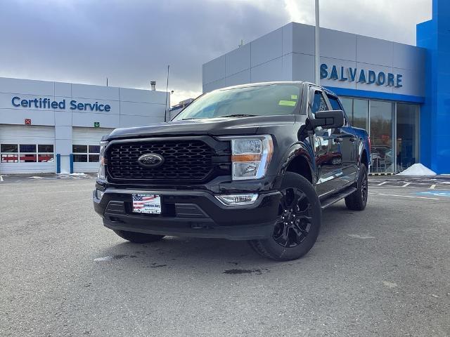 2022 Ford F-150 Vehicle Photo in Gardner, MA 01440